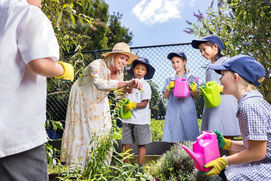 the importance of curiosity in learning in early education